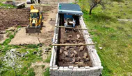 Nevşehir’de ağıla giren kurtlar 40 koyunu telef etti