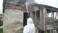 Ordu'da kahverengi kokarcaya karşı ilaçlama çalışmaları yapıldı