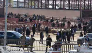 Van’da hayvan pazarı savaş alanına döndü : 1 ölü , 13 kişi yaralı