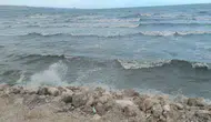 Van'da şiddetli rüzgar etkili oldu