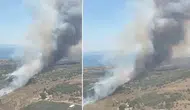 İzmir Dikili'de tarım arazisinde çıkan yangın makilik alana sıçradı