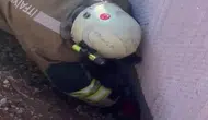 Molozların altında kalan yavru kediyi itfaiye kurtardı