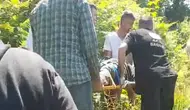 Rize'de bir kişi kiraz toplarken ağaçtan düşerek yaralandı