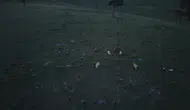 Kars Sarıkamış’ta köpeklerin kovaladığı boz ayı görüntülendi