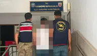 Şanlıurfa'da firari şahıs jandarma operasyonuyla yakalandı