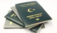 DMM'den 'yeşil pasaportla vizesiz seyahat dönemi bitti' iddiasına ilişkin açıklama