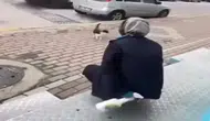 Kocaeli'de kedinin yüzüne yağ çözücü sıkan market çalışanı beraat etti
