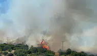 Çanakkale Ezine'de ormanlık alanda yangın
