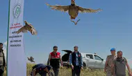 Adıyaman Sincik'te 200 keklik doğaya salındı