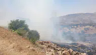 Mardin'de ormanlık alanda yangın çıktı