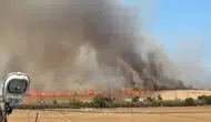 Tekirdağ'da bir sigara izmariti 100 dönüm buğday tarlasını kül etti