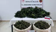 Antalya Serik'te uyuşturucu operasyonu : 11 kilo esrar ele geçirildi