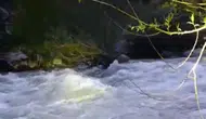 Bingöl'de nehre düşen şahsı arama çalışmaları sürüyor