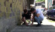 İstanbul'da kene istilası ! Mahalleli bir haftada 500 kene öldürdü