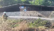 Hatay Hassa'da bahçe yangını : Ekipler kontrol altına aldı