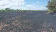 Kırklareli'de anız yangını çıktı