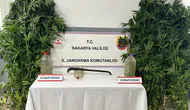 Sakarya'da 3 ilçede uyuşturucu operasyonu : 3 tutuklu