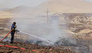 Mardin Kızıltepe'de anız yangını çıktı