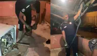 Hatay'da bulaşık makinesine yılan girdi