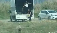 Hatay'da kuşların doğal alanına kamyonetle çok sayıda köpek bıraktılar