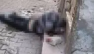 Siirt'te bayram günü işlenen cinayete ilişkin bir kişi gözaltına alındı