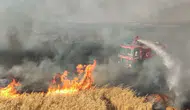 Tekirdağ’da buğday tarlasında yangın : 100 dekar alan küle döndü