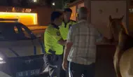 Kahramanmaraş'ta çiftlikten kaçan atları trafik polisleri bulup teslim etti