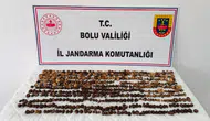 Bolu'da 4,5 kilogram yabani salep toplayan 3 kişiye rekor ceza : Tam 2 milyon 97 bin TL