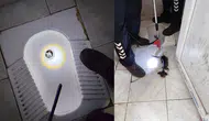 Hatay'da yavru kedi bir okulun tuvalet giderine düştü