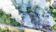 Samsun'da tarlada anız yangını