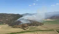 Aydın'da zeytinlik alanda yangın çıktı : Havadan ve karadan müdahale ediliyor