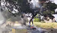 Tekirdağ'da hurdadan çıkan yangın yarım asırlık ağaca sıçradı