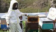 Fiyatı dudak uçuklatıyor! Anzer Balı yeni sezonda 7 bin TL’den satılacak!