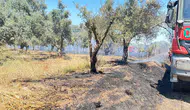 İzmir Bayındır'da seralara sıçrayan yangın ekiplerin müdahalesiyle kontrol altına alındı
