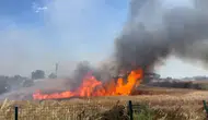 Edirne'de buğday tarlasında yangın