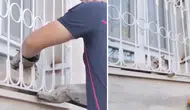 Osmaniye'de patisi pencere demirine sıkışan kediyi kurtarıldı