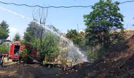 Siirt'te iş makinesinden çıkan kıvılcım otluk alanda yangına neden oldu