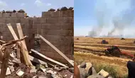 Şanlıurfa Viranşehir'de anız yangını : Büyükbaş hayvan telef oldu