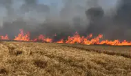 Tekirdağ Hayrabolu'da 400 dönümlük alan yandı