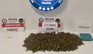 Yalova'da uyuşturucu operasyonu : 2 tutuklu