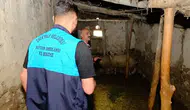 Van'da kuduz vakası : Karantinaya alınan mahallede giriş ve çıkışlar yasaklandı