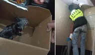 Siirt'te lavabo borusuna sıkışan yavru kedi kurtarıldı