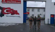 Batman'da uyuşturucu operasyonu : 3 bin 776 kök kenevir ele geçirildi
