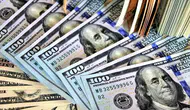 Serbest piyasada Dolar ve Euro güne hafif yüksek başladı