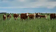 Kırsalda Bereket Projesi sonuçları nereden ve nasıl öğrenilir?