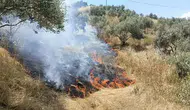 Aydın'da makilik alanda yangın çıktı : 40 dekar alan zarar gördü