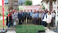 Aydın Buharkent'te 38 bin domates fidesi dağıtıldı