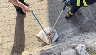 Siirt'te bahçeden 1,5 metre boyunda yılan çıktı