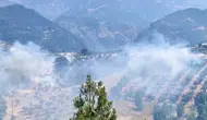 Kahramanmaraş'ta bahçe yangını : Ekipler tarafından kontrol altına alındı