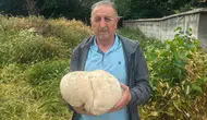 Isparta'da bahçesinde 3,5 kiloluk mantar buldu